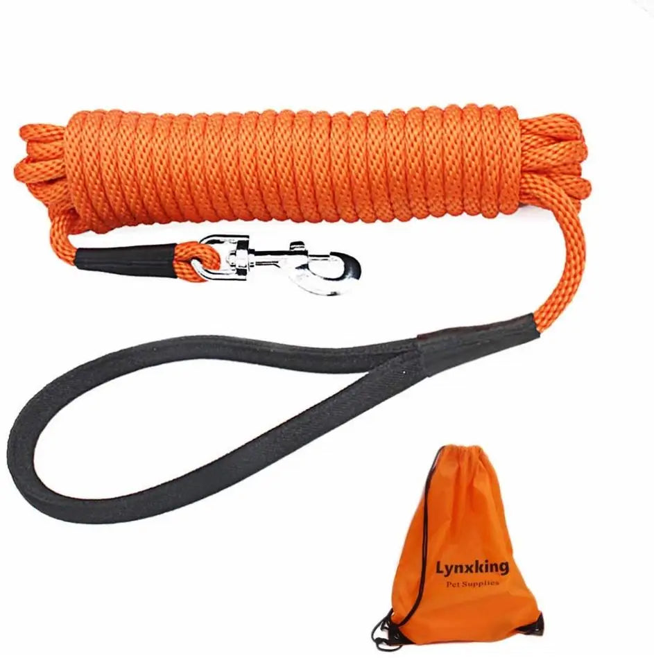 Small PP Webbing Dog Running Leash 30ft Long Durable and Easy to Clean Luxury Outdoor Training Lead With Ribbons Wholesale