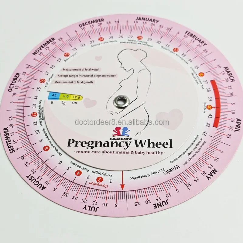 Customizable Logo Color Plastic Obstetrics Wheel Calculator Gestation Born Date Chart 14x14cm Estimate Measurement Fetal Weight