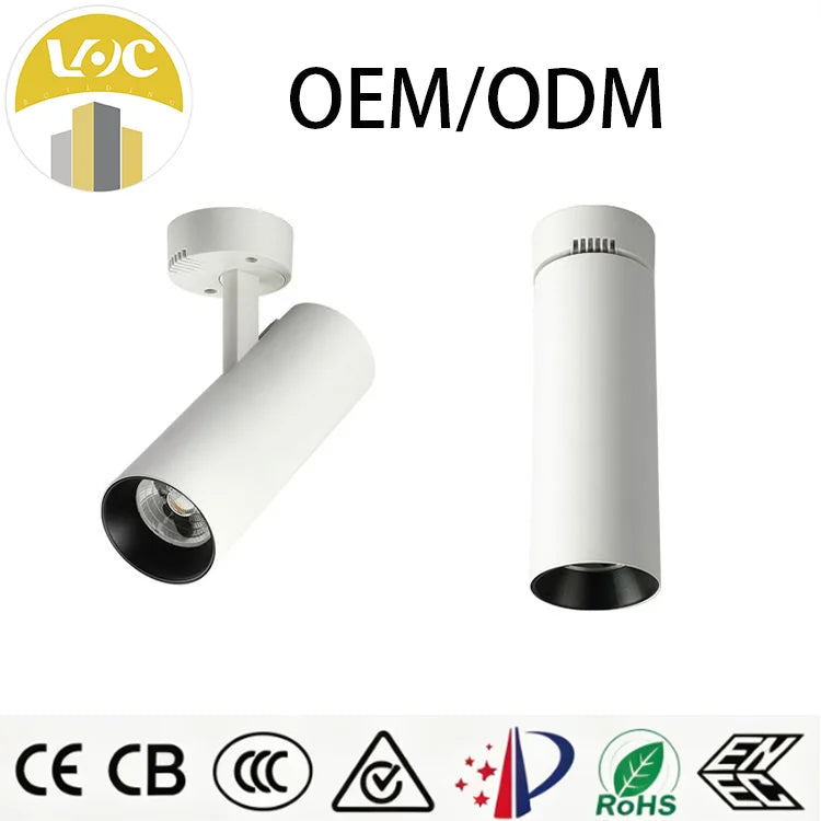Modern Aluminum LED COB Ceiling Spotlights Surface Mounted Track Lights for Malls Home Offices Background Wall Lighting