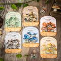 20 Pack Mushroom Collector Series 6 Decorative PET Stickers Material Handbook for Home Decor