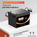 Lianpaiyaun 12V 100Ah LiFePO4 RV Battery U206 LED Display 6000 Cycles CE UL Certified Deep Cycle Lithium Iron Phosphate