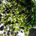 Wholesale Green Crystal Aerolites Rough Tektite Meteorolite Moldavite Love Theme for Jewelry Making