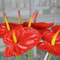Wholesale Real Touch Silk Anthurium Artificial Flower for Wedding Easter Christmas Back School Chinese New Year Stage