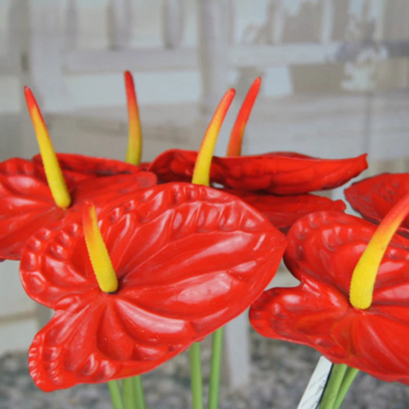Wholesale Real Touch Silk Anthurium Artificial Flower for Wedding Easter Christmas Back School Chinese New Year Stage