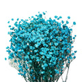 Decorative Flowers Real Fresh Preserved Gypsophila 120g for Home Decoration Wedding Decoration
