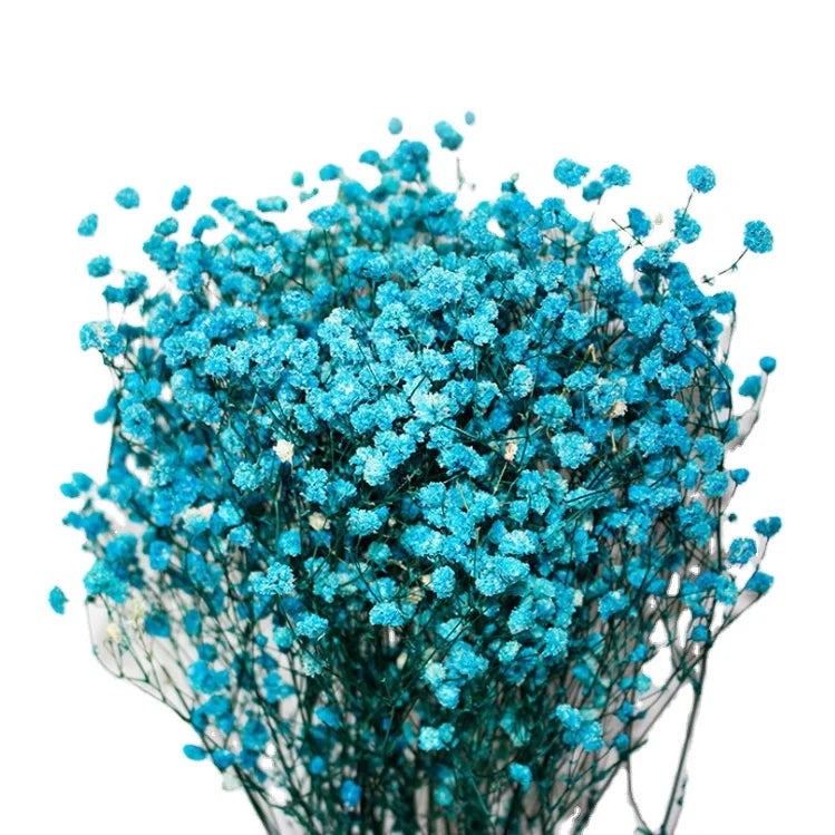 Decorative Flowers Real Fresh Preserved Gypsophila 120g for Home Decoration Wedding Decoration