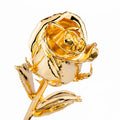INUNION Wholesale Hot Selling European Style 24K Full Gold-plated Real Roses Valentine's Day Gift Box Gift