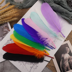 Wholesale High Quality Natural Cheap Price 6-8in Dyed Goose Nagoire Feathers for Carnival Artificial & DIY Handcraft Ornaments