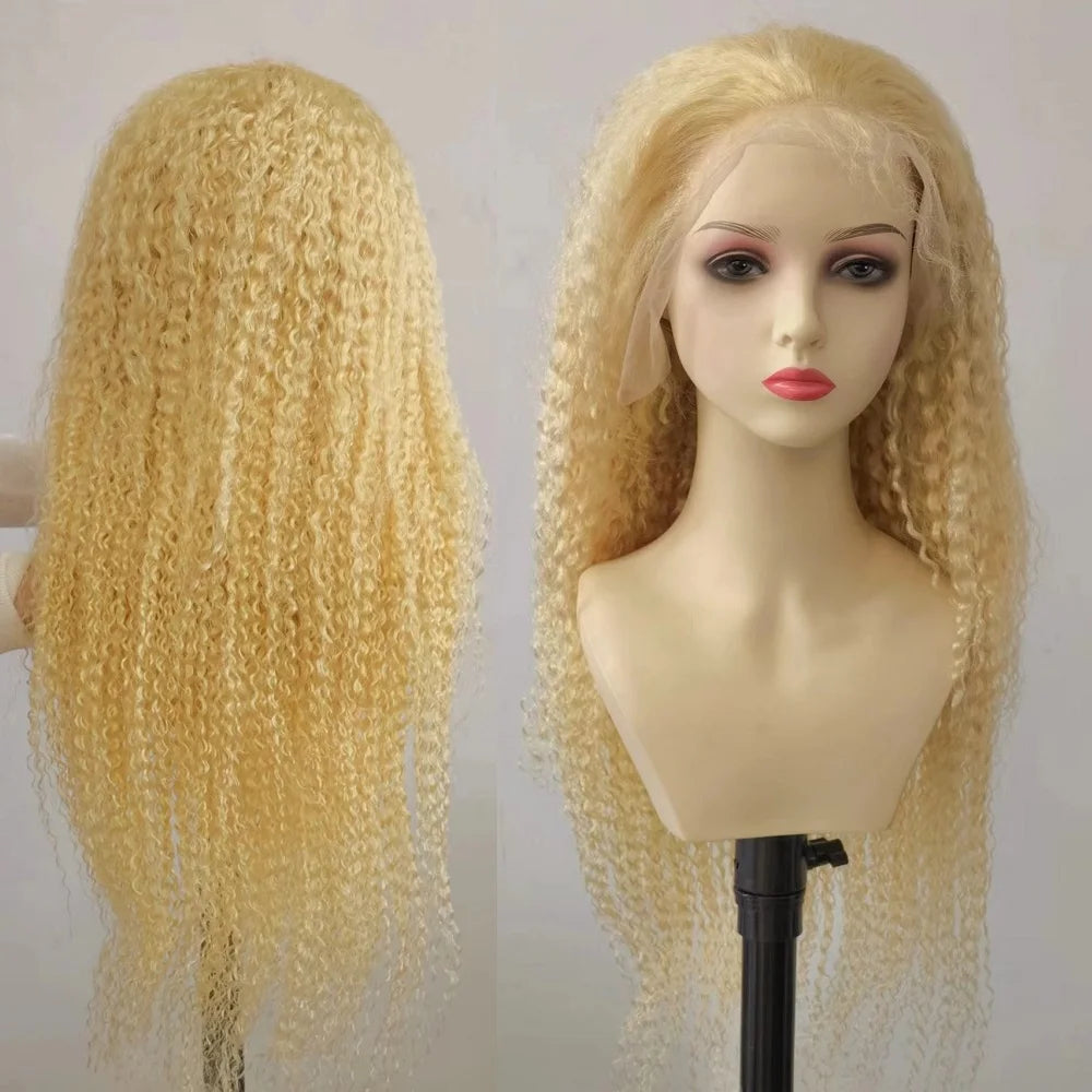 Big Promotion 613 Curly Human Hair Glueless Full Lace Frontal Wigs 4x4 5x5 13x4 13x6 Blonde 613 Curly Human Hair Lace Wigs