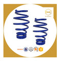 Premium Quality Customized Alloy Steel Automotive Compression Spring Front Rear Model 150 Customized Color Electronic Painting