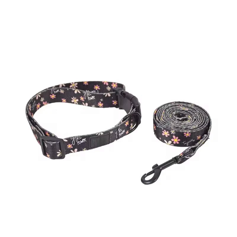 Printed Dog Collar and Leash Set - Adjustable Neckband with 1.5m Lead Matching Harness for Medium Dogs Walking Gear