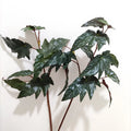 High Simulation Faux Greenery Real Touch Begonia Leaves Latex Artificial Plant Eco-Friendly Waterproof Christmas Graduation Home