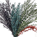 Hot Sale Natural Spiral Eucalyptus Real Preserved Copper Eucalyptus Globulus Wedding Home Flower Arrangement for Dried