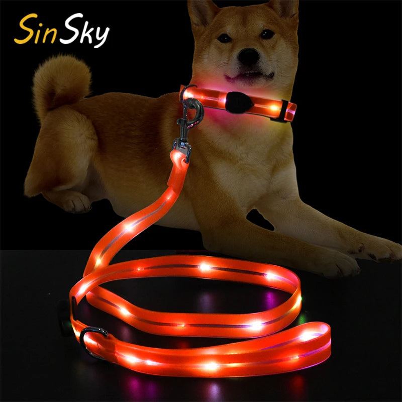 SinSky Night Safety Led Dog Glow in Dark Adjustable Luminous Collar Light up USB Dog Leashes
