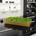 HFlora Preserved Reindeer Core Moss Square Decorative Multiple Colors Long Lasting 3-5 Years for Day Mother's Day Graduation
