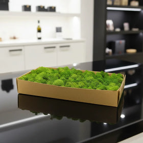 HFlora Preserved Reindeer Core Moss Square Decorative Multiple Colors Long Lasting 3-5 Years for Day Mother's Day Graduation
