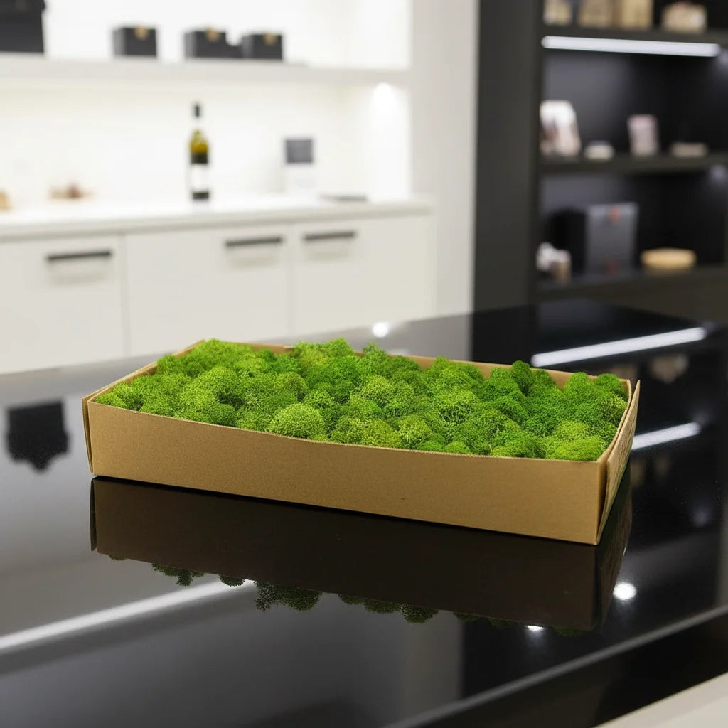 HFlora Preserved Reindeer Core Moss Square Decorative Multiple Colors Long Lasting 3-5 Years for Day Mother's Day Graduation