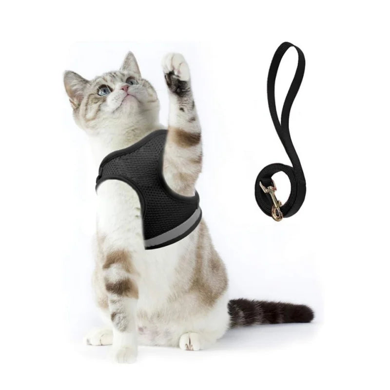 Custom Waterproof Leather/Rubber Cat & Dog Harness Personalized Solid Pattern Nylon/Polyester Material
