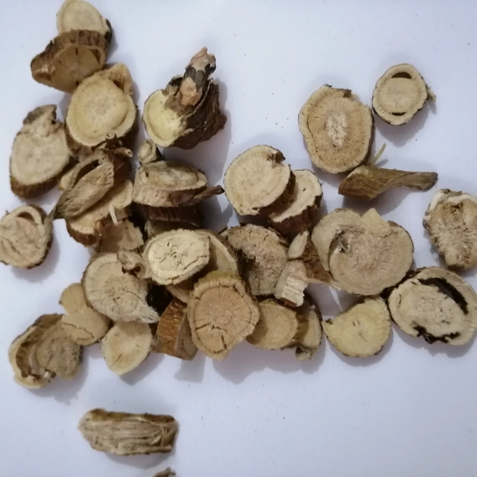Kushen Wild Great Quality Sophora Flavescens Roots