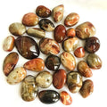Natural Madagascar Agate Polished Stone Wholesale Crystals Quartz Sardonyx Agate Palm Stone for Healing