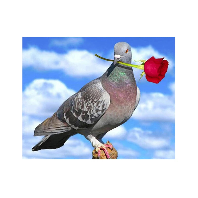Diamond Painting 5d  Factory Direct Supply Full Drill the Carrier Pigeon and the Red Rose Diy Painting Home Decor Custom