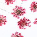 I616 Snow Bead Flower Small Lace Flower Mini Nail Art Materials Face Decoration Petal Makeup