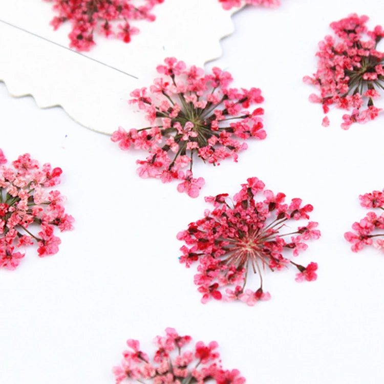 I616 Snow Bead Flower Small Lace Flower Mini Nail Art Materials Face Decoration Petal Makeup