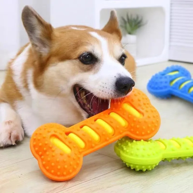 Pet Accessories Dog Product Top Seller New Arrival Rubber Dachshund Bone Shape Squeaky Dog Chew Toy for Aggressive Chewers MegaBDM
