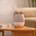 High Quality Household Portable Ultrasonic Essential Oil Diffuser 300ml Mute Timing Cool Mist Humidifier Soft Breathing Light