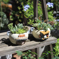P162 Office & Balcony Decoration Micro Landscape Plant Pot Creative Cartoon Cute Pet Mini Resin Planter for Succulents