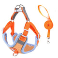 2025 Hot Style Comfortable Vest Style Dog Harness Teddy Bear Pomeranian Small Dog Harness  Walking Leash Dog Harness