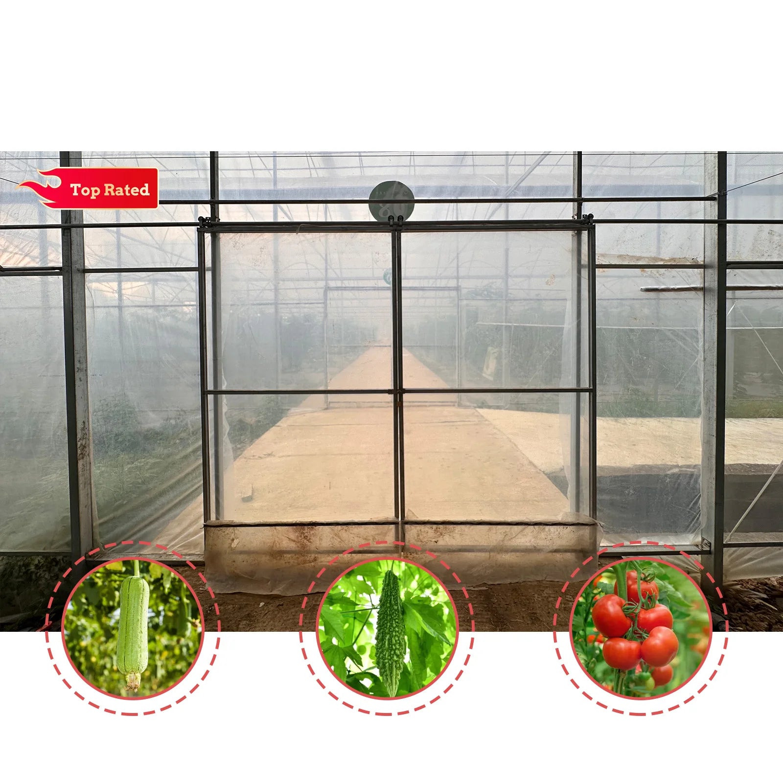 Baolida Agricultural Large High Tunnel Green House Plastic Film Cover Multi-span Greenhouses with Nft Planting