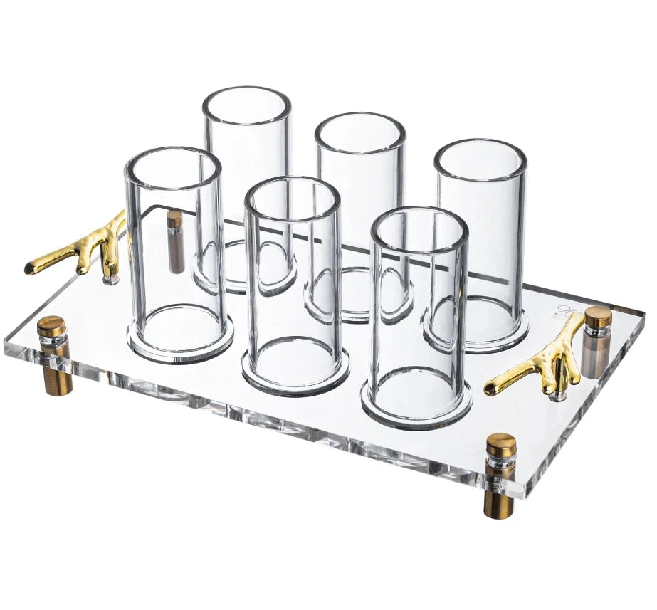 Judaica Lucite Twig Liquor Set