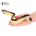 Wholesale Solid Sea Life  Model Plastic Animal Toy Sea Creature Moray Eel Animal Figurines Toys