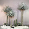 Indoor Decoration Artificial Plants Unique Hotel Plastic Banyan Tree With Pot Artificial Trees
