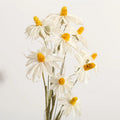 C-GO001 Wholesale Dried Gem Orchids for Flower Arrangement Decoration Flowers & Wreaths Preserved Handmade