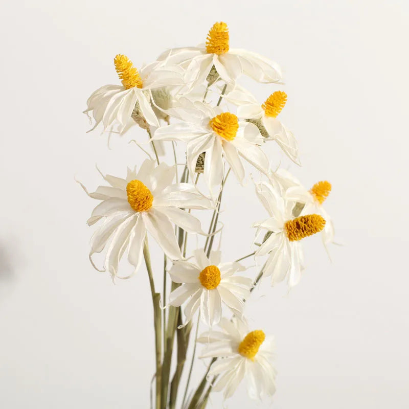 C-GO001 Wholesale Dried Gem Orchids for Flower Arrangement Decoration Flowers & Wreaths Preserved Handmade