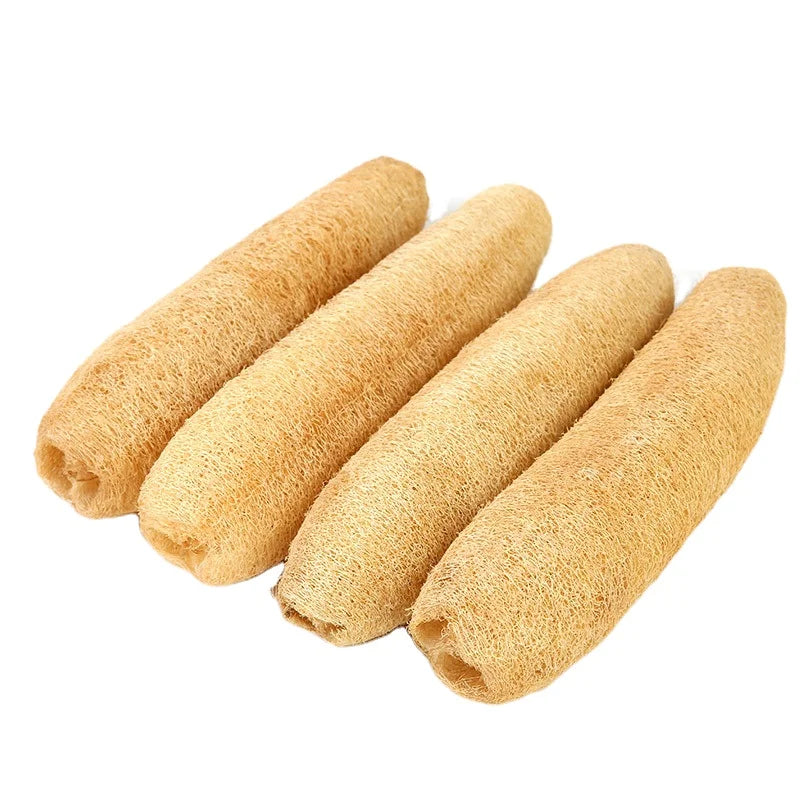 Bestop Biodegradable Compostable 100% Natural Soft Loofah Sponge Dried AD Raw Processing Custom Size Wholesale