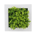 Artificial Grass 3D Photo Frame for Flowers Potted DIY Wall Decorations with PE Plastic Moss Materials