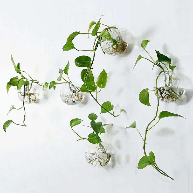 Custom Glass Vases Wholesale Cheap Wall Hanging Decorative Plant Glass Pots