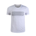 Lidong Wholesale Customsport and  Gym Within XXXL t Shirts for Men