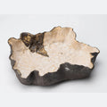 Wholesale Matte Carved Modern Ceramics Ornament Withered Tree Design Ceramic Fruit Plate