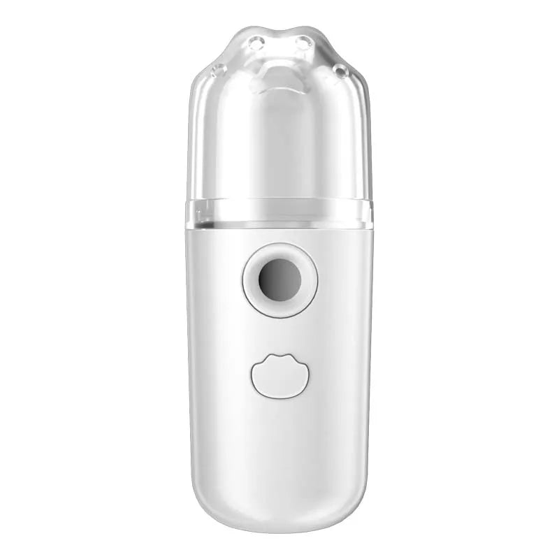 Beauty Wireless Nano Ionic Mist Humidifier Facial Sauna Spa Atomizer Mini Skin Wet Face Skin Humidifier Steamer
