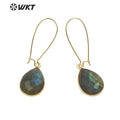 WT-E653 2021Jewelry Labradorite Earrings Pendants for Women Bohemian and Girls Fashion Earrings Beauty Value Is High for Women