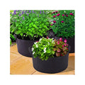 30 Gallon Hot Selling Fabric Planter Pot Garden Bags for Growing Vegetables Plant Grow Bags