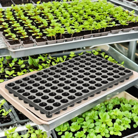 Outdoor Indoor Gardening Nursery 104 Cells Seedling Starter Tray Plant Plate Holes Nursery Plastic Seedling Tray