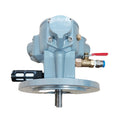 1/6HP Piston Air Motor 1/6HP 015 Pneumatic Motor