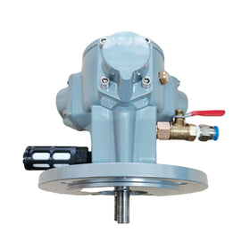 1/6HP Piston Air Motor 1/6HP 015 Pneumatic Motor