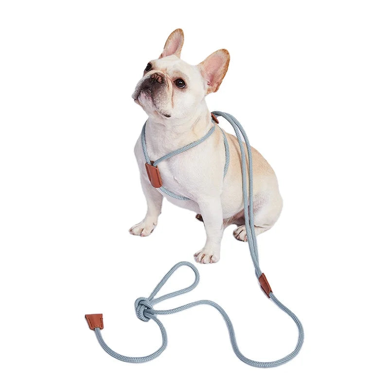 Maychan Multifunctional Durable Adjustable Reflective Solid Nylon Dog Rope Leash for Walking Training