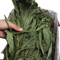 Eco-Friendly Dried Dandelion Grass Chew Toys for Rabbits Chinchillas & Guinea Pigs-500G Individual Box
